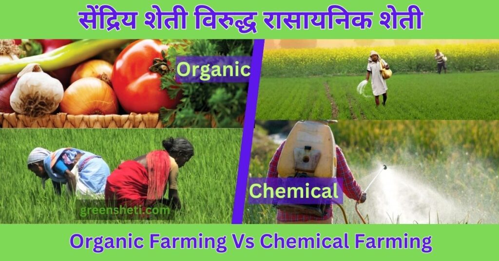 सेंद्रिय शेती विरुद्ध रासायनिक शेती / Organic Farming Vs Chemical Farming