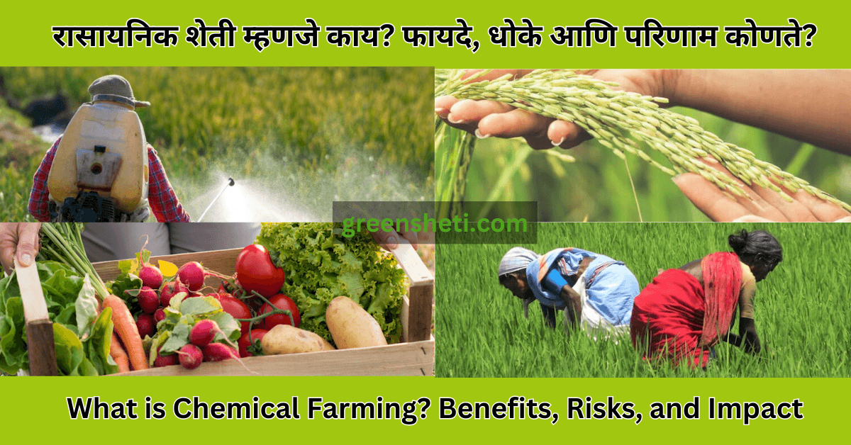 What is Chemical Farming? Benefits, Risks, and Impact