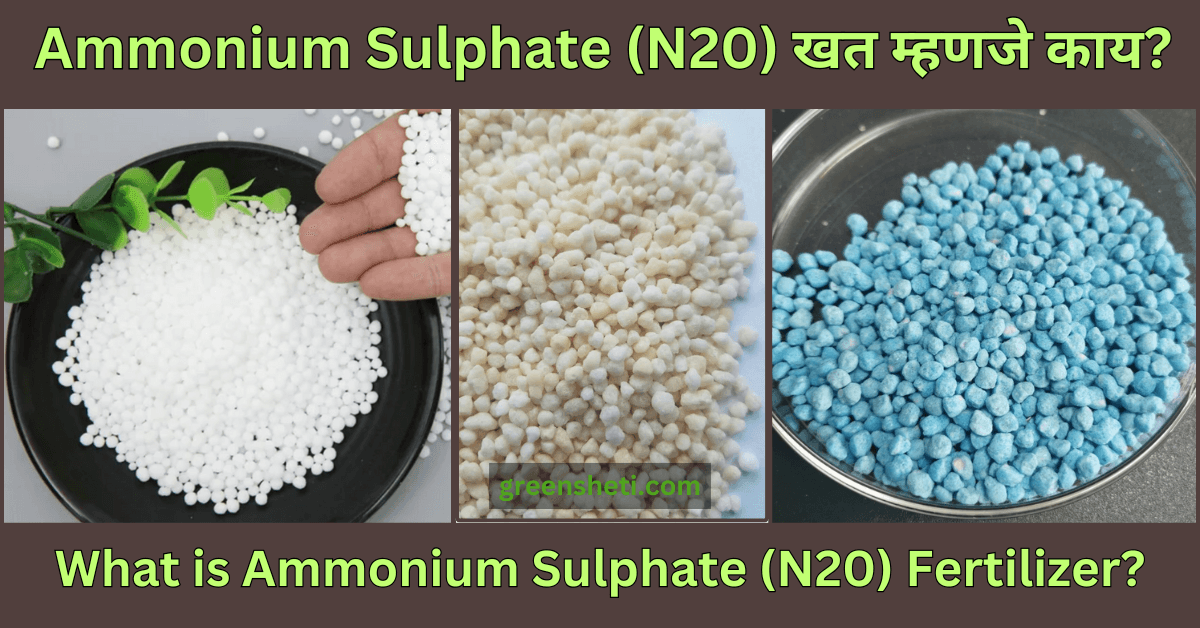 What is Ammonium Sulphate (N20) Fertilizer - FI