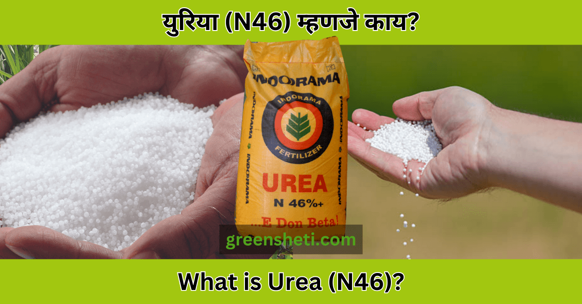 What is Urea (N46) Fertilizer?